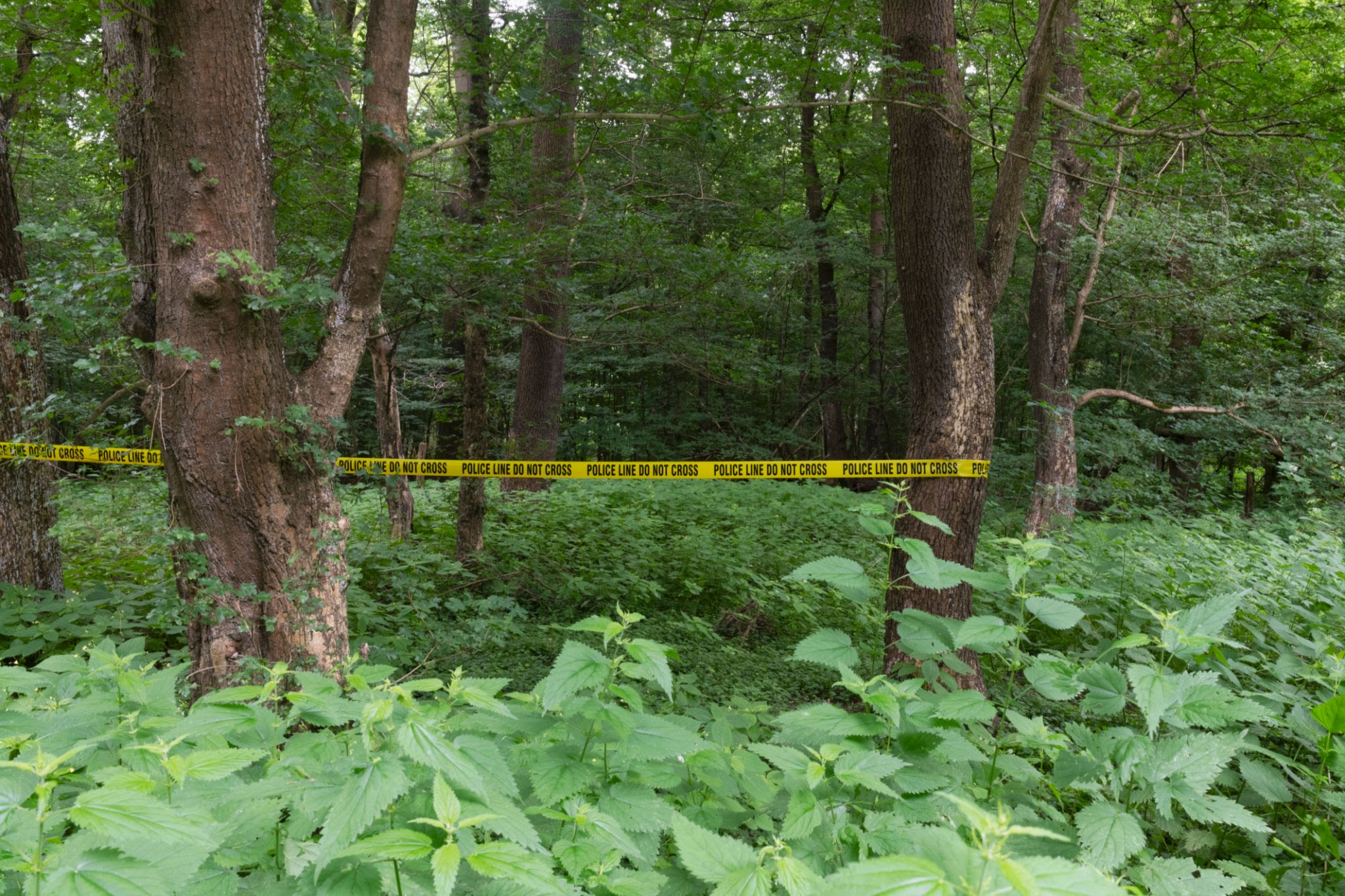 Gaya Murder Mystery: रक्षाबंधन पर घर लौटे पिता की हत्या, बेटे ने कबूला राज, जंगल से बंधा शव बरामद